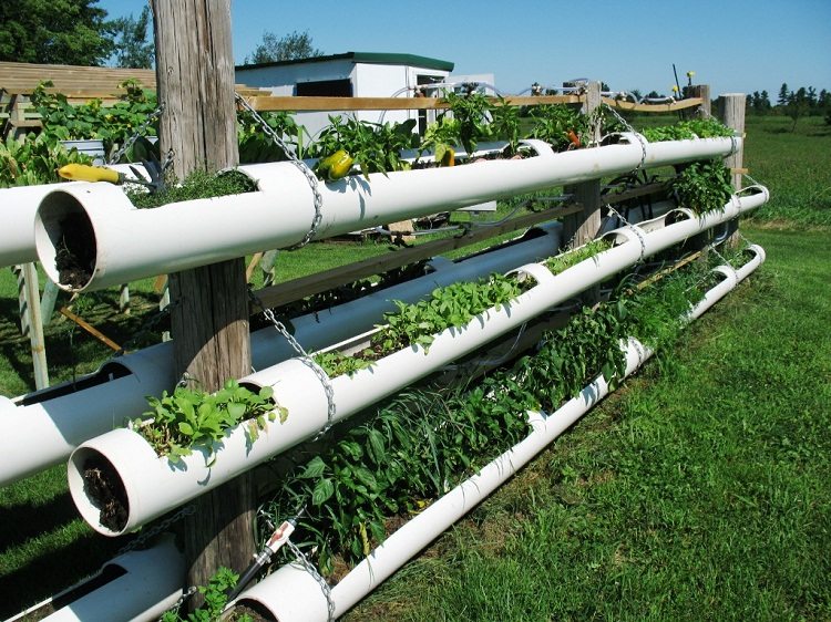 Les tuyaux en PVC peuvent être utilisés pour cultiver des plantes de jardin et ornementales et décorer le terrain de jardin de manière originale Artisanat à partir de tuyaux en PVC