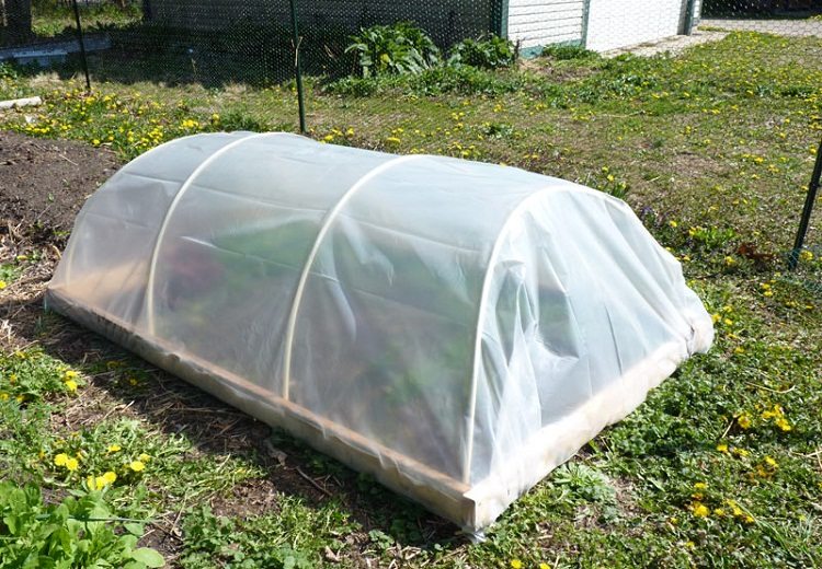 L'option la plus simple est une serre de type arquée, qui est recouverte d'un film Serre de bricolage faite de tuyaux en PVC