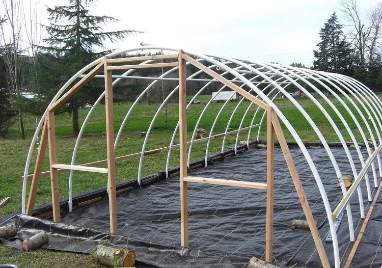Le cadre de la serre en polycarbonate peut être complété par des éléments en bois - par exemple pour une porte Serre de bricolage faite de tuyaux en PVC