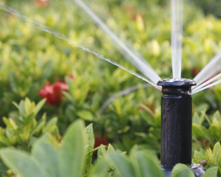 La méthode d'arrosage la plus courante consiste à utiliser une buse de pulvérisation portée à l'extrémité d'un tuyau d'eau Tuyaux d'arrosage dans le pays