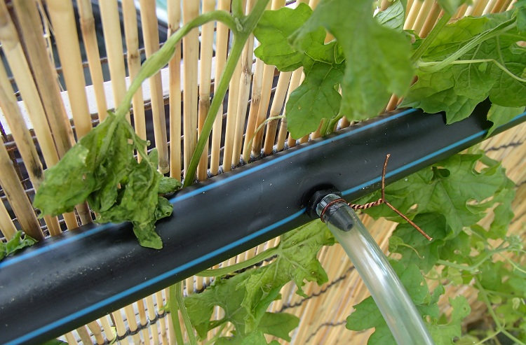 Aujourd'hui, les tuyaux en polymère léger sont utilisés dans les systèmes d'irrigation, qui ne sont pas inférieurs à bien des égards aux tuyaux en acier Tuyaux d'arrosage dans le pays