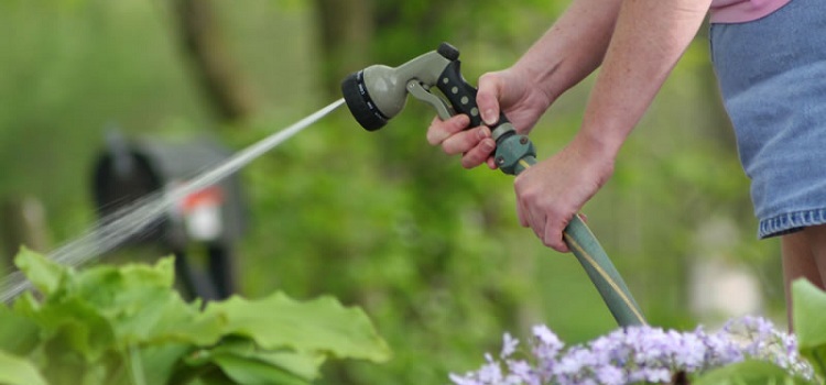 Le système d'irrigation dans le jardin peut être constitué d'une variété de types de tuyaux Tuyaux d'arrosage dans le pays