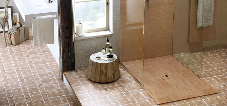 Les caractéristiques de conception de la douche ou de l'hydrobox dans la plupart des cas vous permettent d'installer uniquement un type spécial de siphon - une passerelle sèche Drain de porte sèche